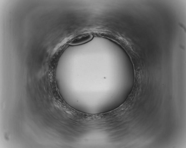 X0000099521159200806051204