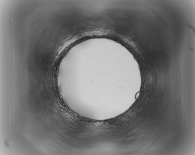 X0000099521160200806051204