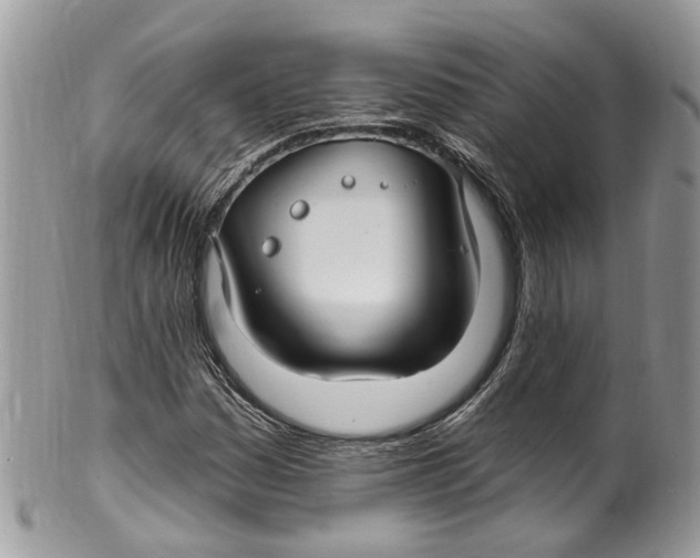 X0000099521161200806051204