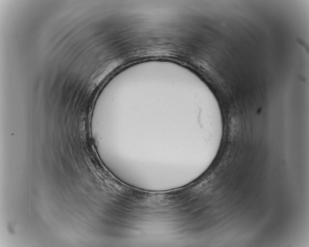 X0000099521162200806051204