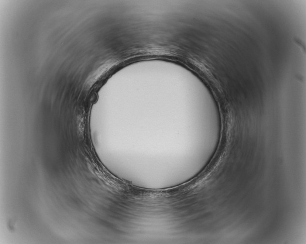 X0000099521163200806051204