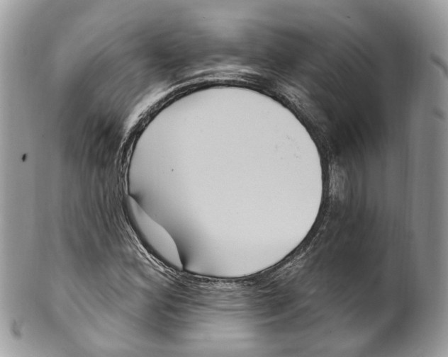 X0000099521164200806051204