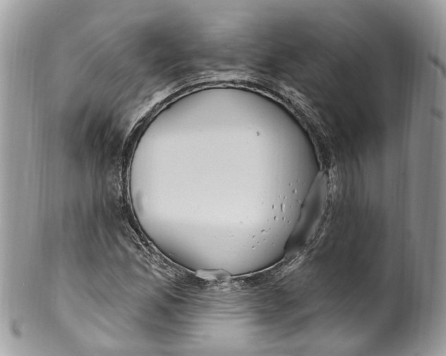 X0000099521165200806051204