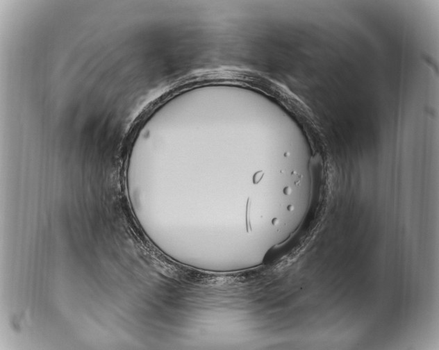 X0000099521166200806051204