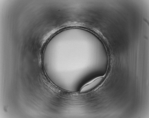 X0000099521167200806051204