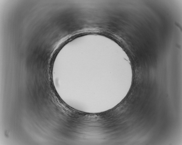 X0000099521168200806051204