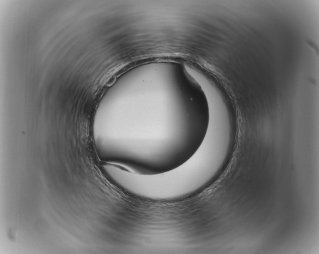 X0000099521169200806051204