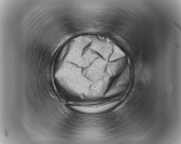 X0000099521170200806051204