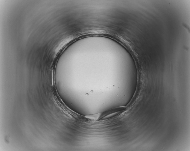 X0000099521171200806051204