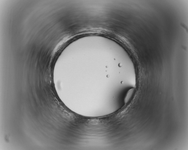 X0000099521172200806051204