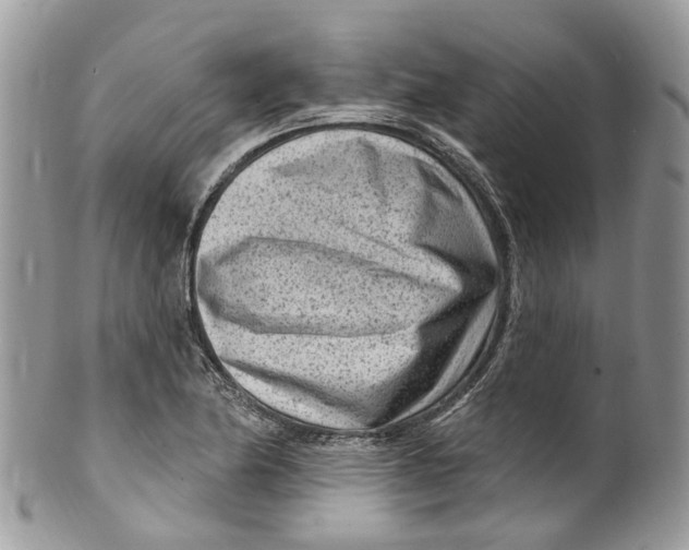 X0000099521174200806051204