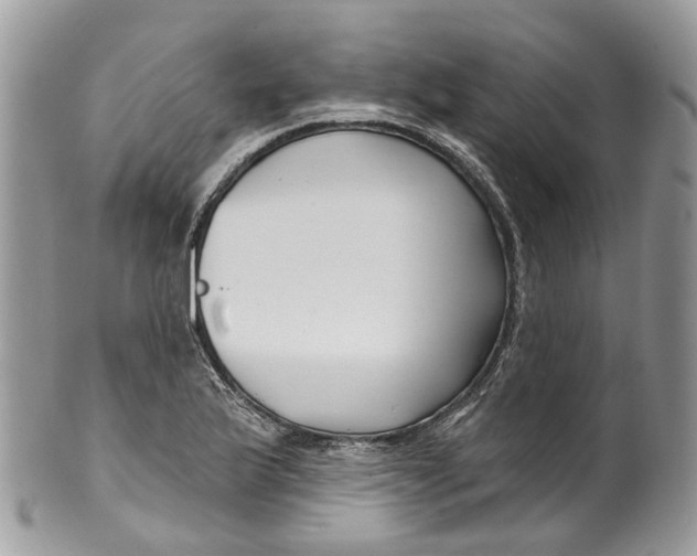 X0000099521175200806051204