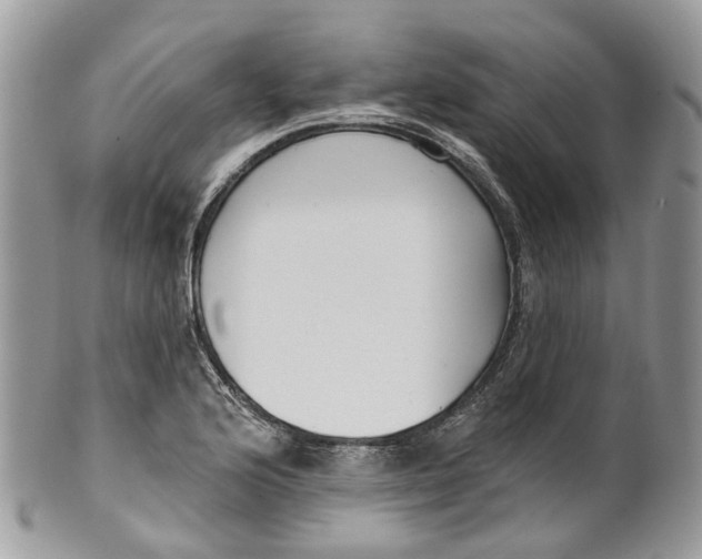 X0000099521176200806051204