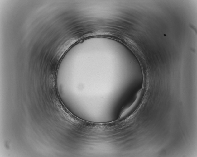 X0000099521177200806051204