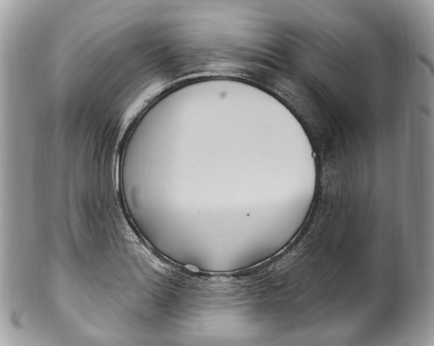 X0000099521180200806051204