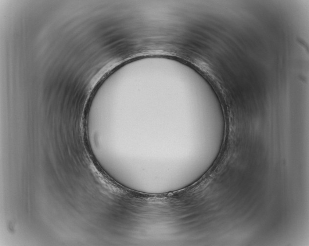 X0000099521181200806051204