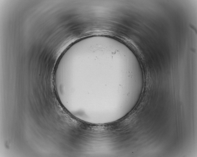 X0000099521182200806051204