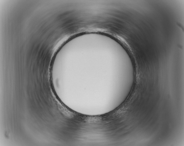 X0000099521183200806051204