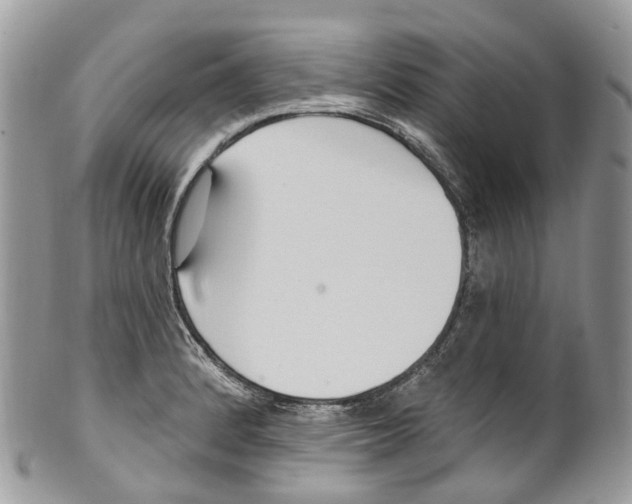 X0000099521184200806051204