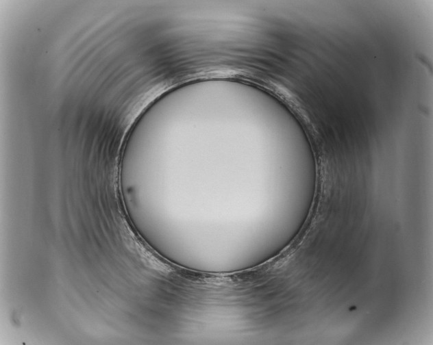 X0000099521186200806051203