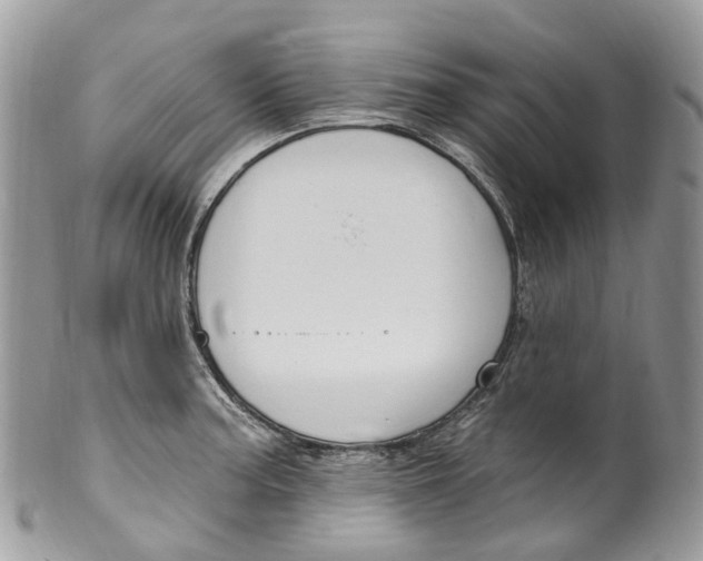 X0000099521187200806051203