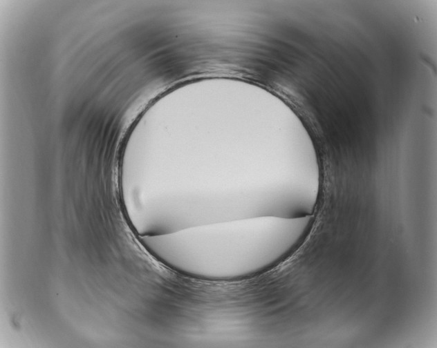 X0000099521188200806051203