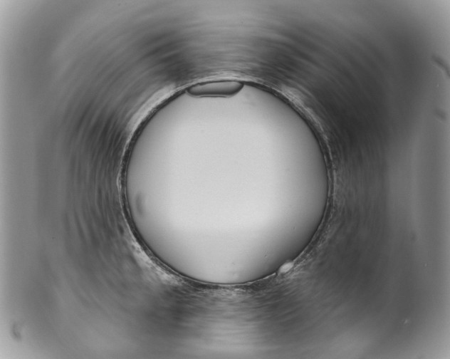 X0000099521189200806051203