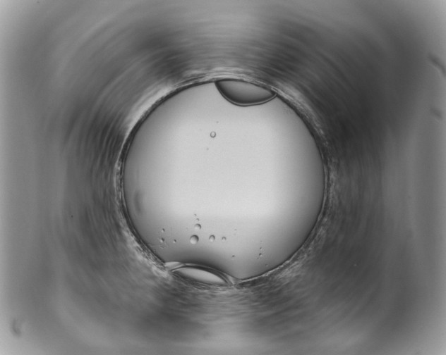 X0000099521190200806051203