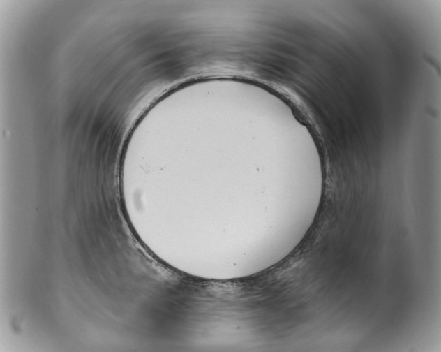 X0000099521191200806051203