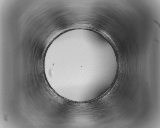 X0000099521192200806051203