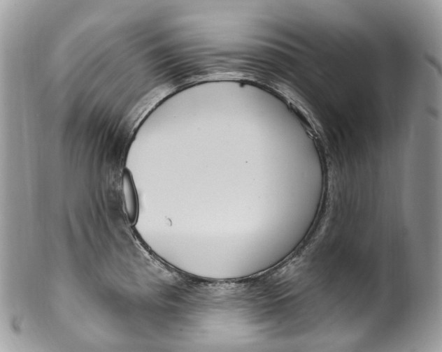 X0000099521193200806051203