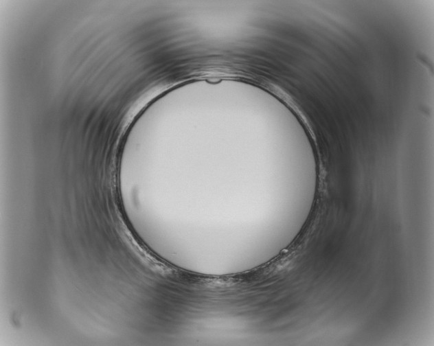 X0000099521195200806051203