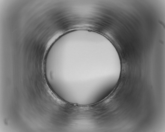 X0000099521196200806051203