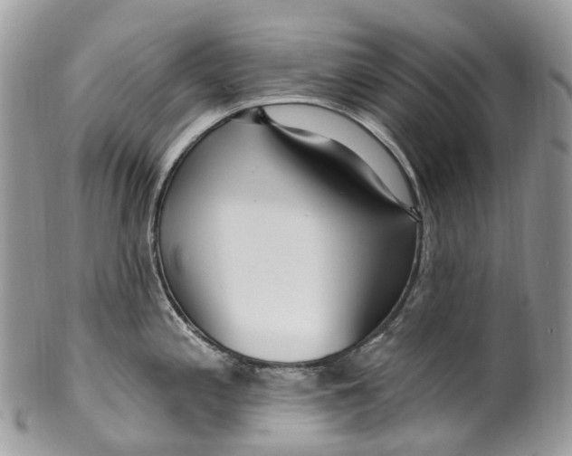 X0000099521197200806051203