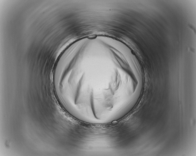 X0000099521198200806051203