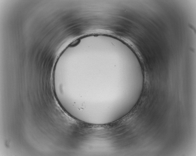 X0000099521199200806051203