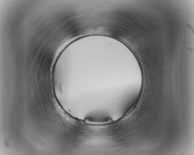 X0000099521200200806051203