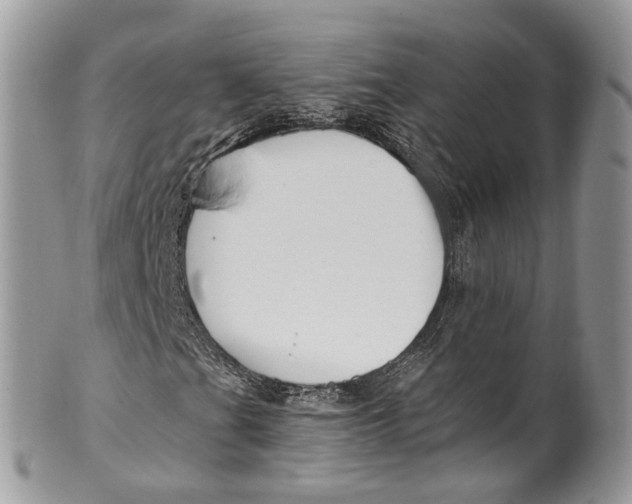 X0000099521201200806051203