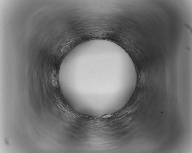 X0000099521202200806051203