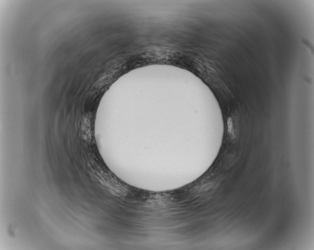 X0000099521203200806051203