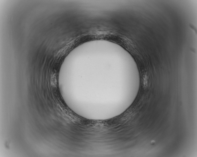 X0000099521204200806051203