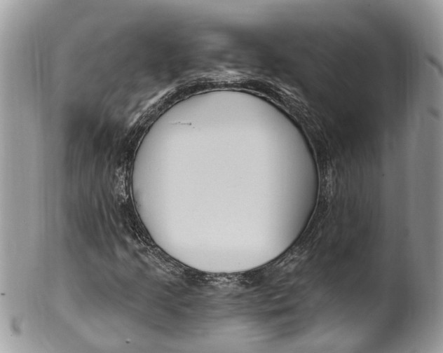 X0000099521205200806051203