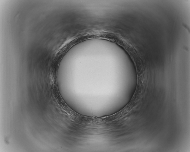 X0000099521206200806051203