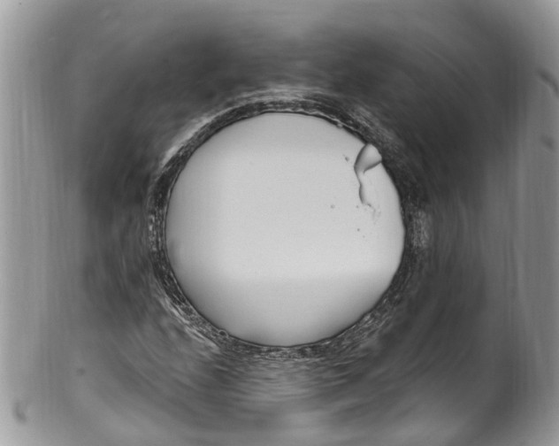 X0000099521208200806051203