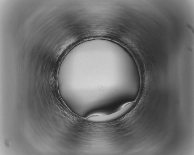 X0000099521210200806051203