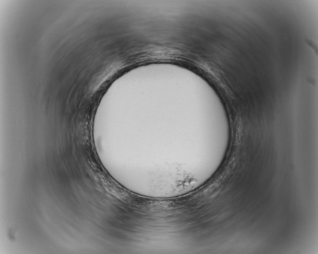 X0000099521211200806051203