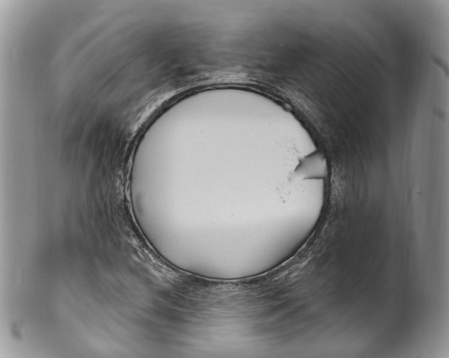 X0000099521212200806051203