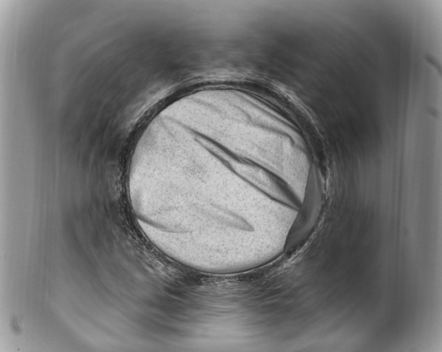 X0000099521213200806051203