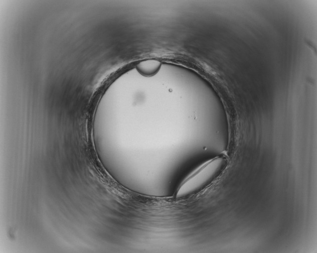 X0000099521214200806051203