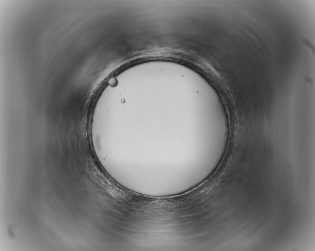 X0000099521216200806051203